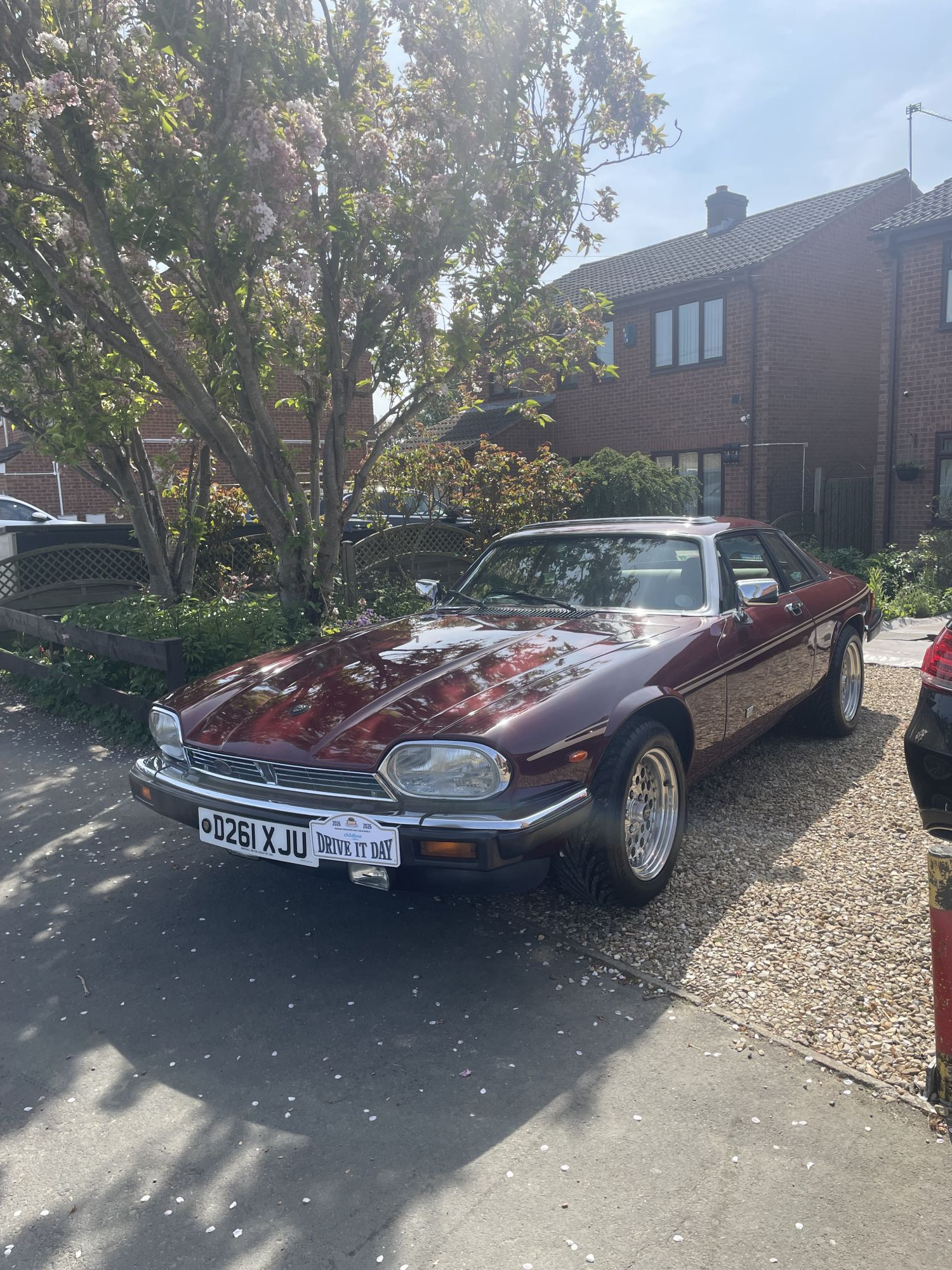 Drive It Day photo 2026